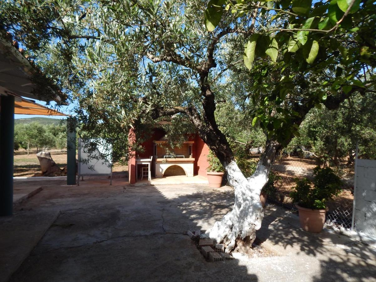 Ninemia Country House Vromonerion Luaran gambar